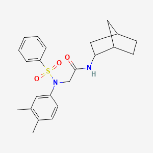 molecular formula C23H28N2O3S B3933576 N~1~-bicyclo[2.2.1]hept-2-yl-N~2~-(3,4-dimethylphenyl)-N~2~-(phenylsulfonyl)glycinamide 