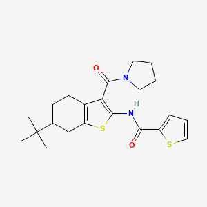 molecular formula C22H28N2O2S2 B3934591 N-[6-tert-butyl-3-(1-pyrrolidinylcarbonyl)-4,5,6,7-tetrahydro-1-benzothien-2-yl]-2-thiophenecarboxamide 
