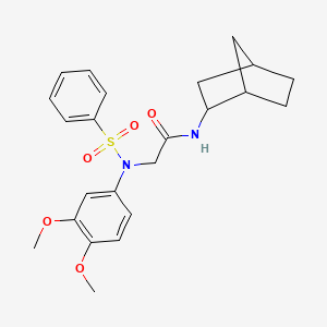 molecular formula C23H28N2O5S B3935144 N~1~-bicyclo[2.2.1]hept-2-yl-N~2~-(3,4-dimethoxyphenyl)-N~2~-(phenylsulfonyl)glycinamide 