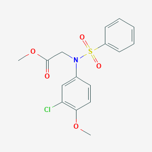 molecular formula C16H16ClNO5S B393678 Methyl [3-chloro-4-methoxy(phenylsulfonyl)anilino]acetate 