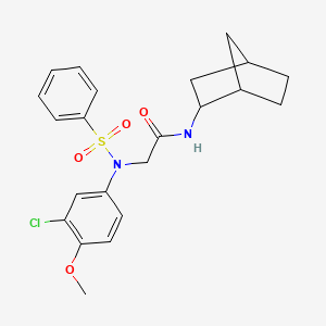 molecular formula C22H25ClN2O4S B3937942 N~1~-bicyclo[2.2.1]hept-2-yl-N~2~-(3-chloro-4-methoxyphenyl)-N~2~-(phenylsulfonyl)glycinamide 