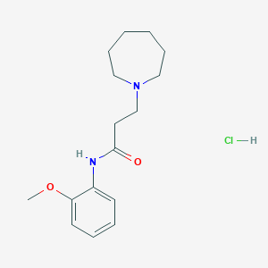 molecular formula C16H25ClN2O2 B3939255 3-(1-azepanyl)-N-(2-methoxyphenyl)propanamide hydrochloride 