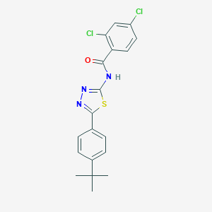 molecular formula C19H17Cl2N3OS B394043 N-[5-(4-tert-butylphenyl)-1,3,4-thiadiazol-2-yl]-2,4-dichlorobenzamide 