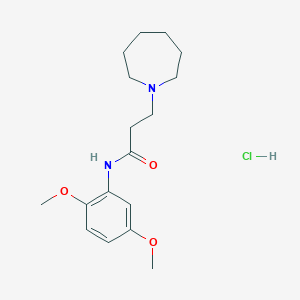 3-(1-azepanyl)-N-(2,5-dimethoxyphenyl)propanamide hydrochloride