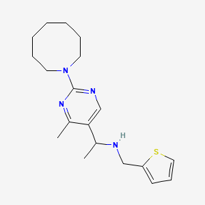 molecular formula C19H28N4S B3942055 1-[2-(1-azocanyl)-4-methyl-5-pyrimidinyl]-N-(2-thienylmethyl)ethanamine 