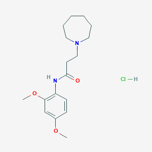 3-(1-azepanyl)-N-(2,4-dimethoxyphenyl)propanamide hydrochloride