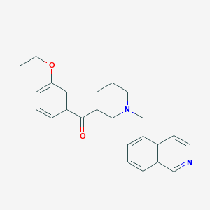 molecular formula C25H28N2O2 B3942444 (3-isopropoxyphenyl)[1-(5-isoquinolinylmethyl)-3-piperidinyl]methanone 