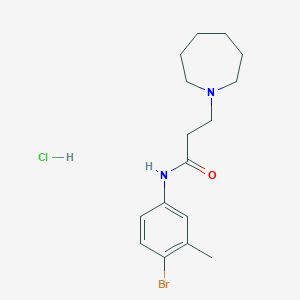 3-(azepan-1-yl)-N-(4-bromo-3-methylphenyl)propanamide;hydrochloride