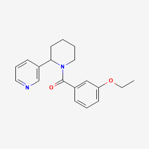 3-[1-(3-ethoxybenzoyl)-2-piperidinyl]pyridine