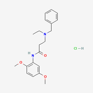 N~3~-benzyl-N~1~-(2,5-dimethoxyphenyl)-N~3~-ethyl-beta-alaninamide hydrochloride