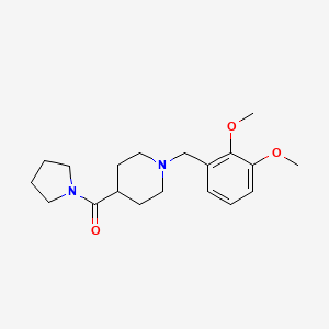 molecular formula C19H28N2O3 B3951393 1-(2,3-dimethoxybenzyl)-4-(1-pyrrolidinylcarbonyl)piperidine 