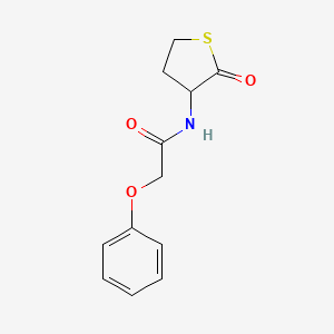 molecular formula C12H13NO3S B3951997 N-(2-oxotetrahydro-3-thienyl)-2-phenoxyacetamide 