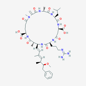molecular formula C48H72N10O12 B039554 Toxin II, cyanobacterium CAS No. 120011-66-7