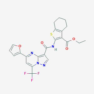 molecular formula C23H19F3N4O4S B395665 Ethyl 2-({[5-(2-furyl)-7-(trifluoromethyl)pyrazolo[1,5-a]pyrimidin-3-yl]carbonyl}amino)-4,5,6,7-tetrahydro-1-benzothiophene-3-carboxylate 