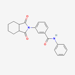 3-(1,3-dioxooctahydro-2H-isoindol-2-yl)-N-phenylbenzamide