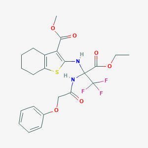 molecular formula C23H25F3N2O6S B395869 Methyl 2-[[3-ethoxy-1,1,1-trifluoro-3-oxo-2-[(2-phenoxyacetyl)amino]propan-2-yl]amino]-4,5,6,7-tetrahydro-1-benzothiophene-3-carboxylate CAS No. 298683-49-5