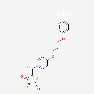 5-{4-[3-(4-tert-butylphenoxy)propoxy]benzylidene}-1,3-thiazolidine-2,4-dione