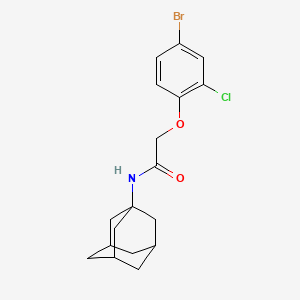 N-1-adamantyl-2-(4-bromo-2-chlorophenoxy)acetamide