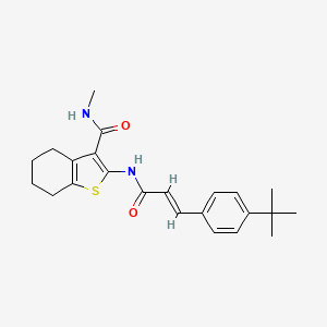 molecular formula C23H28N2O2S B3962258 2-{[3-(4-tert-butylphenyl)acryloyl]amino}-N-methyl-4,5,6,7-tetrahydro-1-benzothiophene-3-carboxamide 