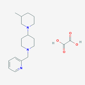 3-methyl-1'-(2-pyridinylmethyl)-1,4'-bipiperidine oxalate