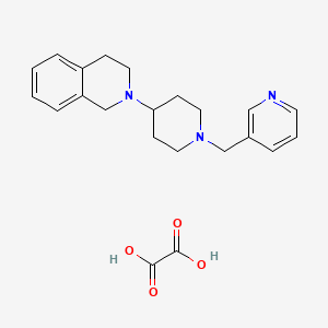 2-[1-(3-pyridinylmethyl)-4-piperidinyl]-1,2,3,4-tetrahydroisoquinoline oxalate