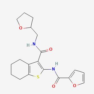 molecular formula C19H22N2O4S B3968742 N-{3-[(tetrahydrofuran-2-ylmethyl)carbamoyl]-4,5,6,7-tetrahydro-1-benzothiophen-2-yl}furan-2-carboxamide 