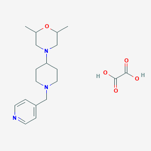 molecular formula C19H29N3O5 B3969499 2,6-dimethyl-4-[1-(4-pyridinylmethyl)-4-piperidinyl]morpholine oxalate 