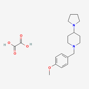 1-(4-methoxybenzyl)-4-(1-pyrrolidinyl)piperidine oxalate