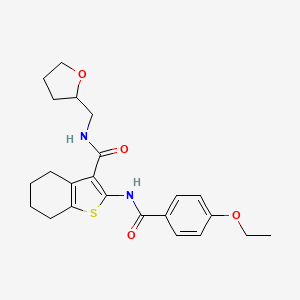 molecular formula C23H28N2O4S B3971450 2-[(4-ethoxybenzoyl)amino]-N-(tetrahydro-2-furanylmethyl)-4,5,6,7-tetrahydro-1-benzothiophene-3-carboxamide 