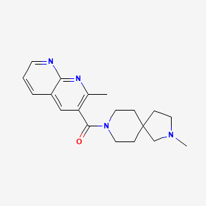 molecular formula C19H24N4O B3971691 2-methyl-3-[(2-methyl-2,8-diazaspiro[4.5]dec-8-yl)carbonyl]-1,8-naphthyridine 