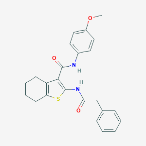 molecular formula C24H24N2O3S B397224 N-(4-methoxyphenyl)-2-[(phenylacetyl)amino]-4,5,6,7-tetrahydro-1-benzothiophene-3-carboxamide 