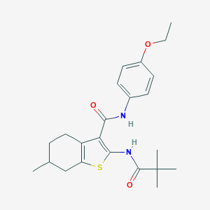molecular formula C23H30N2O3S B397328 2-[(2,2-dimethylpropanoyl)amino]-N-(4-ethoxyphenyl)-6-methyl-4,5,6,7-tetrahydro-1-benzothiophene-3-carboxamide 