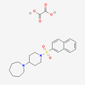 1-[1-(2-naphthylsulfonyl)-4-piperidinyl]azepane oxalate