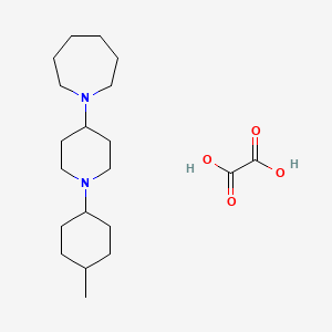 molecular formula C20H36N2O4 B3973515 1-[1-(4-methylcyclohexyl)-4-piperidinyl]azepane oxalate 