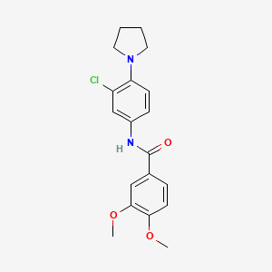 molecular formula C19H21ClN2O3 B3974199 N-[3-chloro-4-(1-pyrrolidinyl)phenyl]-3,4-dimethoxybenzamide 