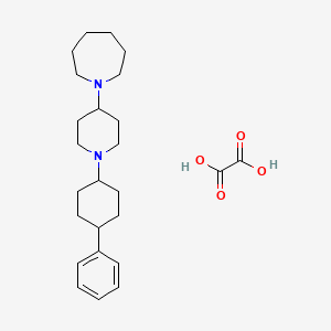 molecular formula C25H38N2O4 B3974539 1-[1-(4-phenylcyclohexyl)-4-piperidinyl]azepane oxalate 