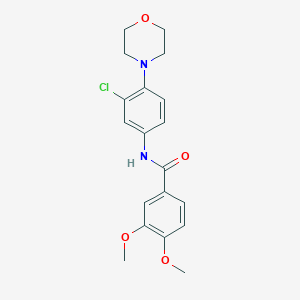 molecular formula C19H21ClN2O4 B397717 N-[3-chloro-4-(4-morpholinyl)phenyl]-3,4-dimethoxybenzamide 
