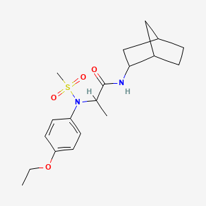 molecular formula C19H28N2O4S B3977261 N~1~-bicyclo[2.2.1]hept-2-yl-N~2~-(4-ethoxyphenyl)-N~2~-(methylsulfonyl)alaninamide 