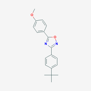 molecular formula C19H20N2O2 B397827 3-(4-Tert-butylphenyl)-5-(4-methoxyphenyl)-1,2,4-oxadiazole 