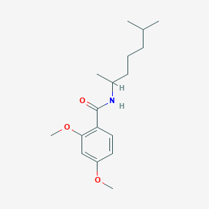 molecular formula C17H27NO3 B3978296 N-(1,5-dimethylhexyl)-2,4-dimethoxybenzamide 