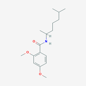 molecular formula C17H27NO3 B3978296 2,4-dimethoxy-N-(6-methylheptan-2-yl)benzamide 