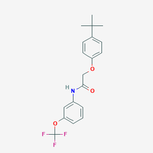molecular formula C19H20F3NO3 B397949 2-(4-tert-butylphenoxy)-N-[3-(trifluoromethoxy)phenyl]acetamide 