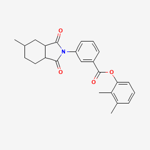 molecular formula C24H25NO4 B3981129 2,3-dimethylphenyl 3-(5-methyl-1,3-dioxooctahydro-2H-isoindol-2-yl)benzoate 