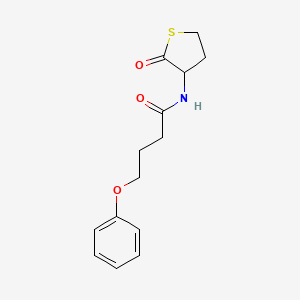 N-(2-oxotetrahydrothiophen-3-yl)-4-phenoxybutanamide