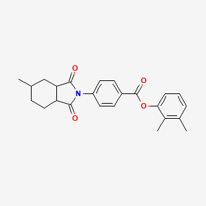 2,3-dimethylphenyl 4-(5-methyl-1,3-dioxooctahydro-2H-isoindol-2-yl)benzoate