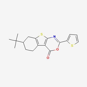 7-tert-butyl-2-(2-thienyl)-5,6,7,8-tetrahydro-4H-[1]benzothieno[2,3-d][1,3]oxazin-4-one