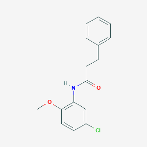 molecular formula C16H16ClNO2 B398471 N-(5-chloro-2-methoxyphenyl)-3-phenylpropanamide CAS No. 349425-36-1