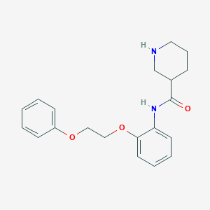 N-[2-(2-phenoxyethoxy)phenyl]-3-piperidinecarboxamide hydrochloride