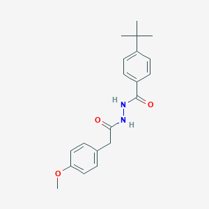 molecular formula C20H24N2O3 B398620 4-tert-butyl-N'-[(4-methoxyphenyl)acetyl]benzohydrazide 