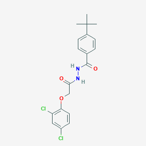 molecular formula C19H20Cl2N2O3 B398626 4-tert-butyl-N'-[(2,4-dichlorophenoxy)acetyl]benzohydrazide 